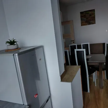 Zloty Widok Apartment *