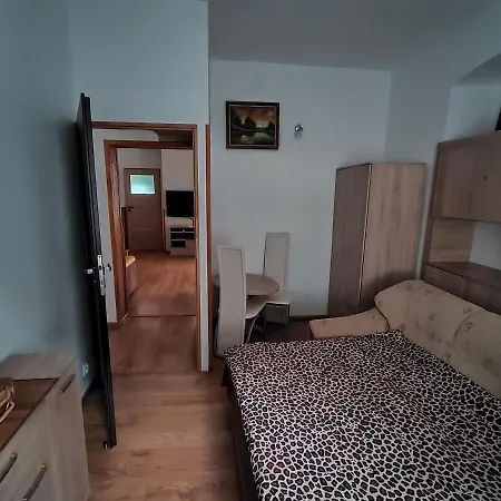 Zloty Widok Апартаменты *